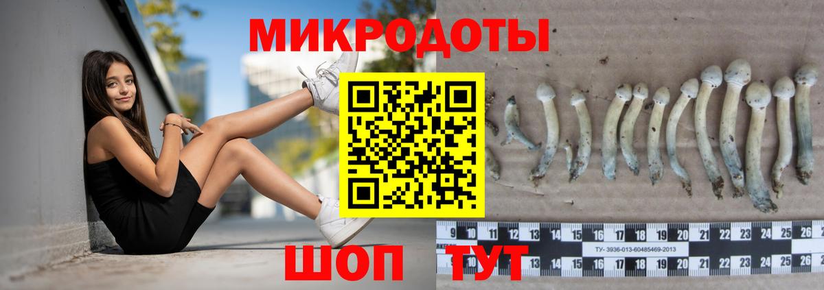 Галлюциногенные грибы Cubensis Тобольск